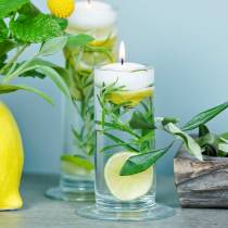 daiktų Stiklinė vaza su pagrindu, skaidri, Ø6 cm, aukštis 20 cm