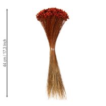 daiktų Džiovintų gėlių puokštė, žavinga vazų ar kompozicijų puošmena, 44 cm