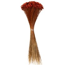 daiktų Džiovintų gėlių puokštė, žavinga vazų ar kompozicijų puošmena, 44 cm