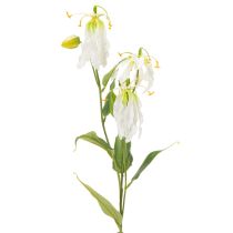 daiktų