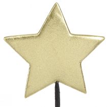 daiktų Golden star dekoratyviniai gėlių kamščiai Ø7cm 2-as pasirinkimas 24 vnt