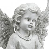 Kapo angelo angelo figūros paukščių vonelė Kapo puošmena H26cm