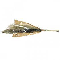 daiktų Džiovintos žolės kekėje Sausa floristika Sausa puokštė H70cm