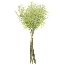 daiktų Dekoratyvinė šparago šakelė, natūralus gėlių puokščių papildymas, 34 cm, 7 vnt.