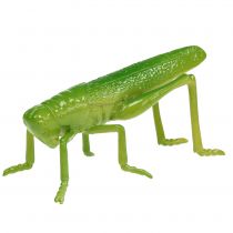 daiktų Žiogas žalias 11cm 1 vnt