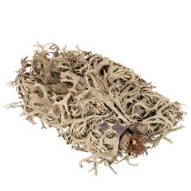 daiktų Dekoratyvinės samanos, pilkos samanos rankdarbiams, 500g