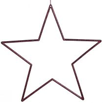 daiktų Didelės dekoratyvinės žvaigždės pakabinimui Berry Glitter 24cm 6 vnt