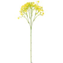 daiktų Gypsophila paniculate gipso žolė geltoni žiedai L46cm 4 vnt