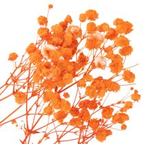 daiktų Džiovintų gėlių puokštė „Gypsophila“ 75 cm 100 g