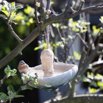 daiktų Dekoratyvinis grybas su paukščiu rudens puošmena pakabinimui Ø15cm H12cm