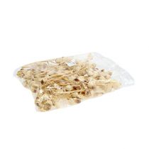 daiktų Hakea vidutinė 5-9 galvutės vienai šakelei balinta 25 vnt