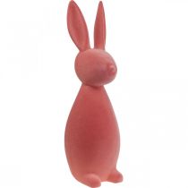 Deco Bunny Deco Velykų zuikis Flocked Oranžinis Abrikosas H69cm