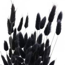 daiktų Triušio uodegos žolė Lagurus džiovinta juoda 60cm 50g