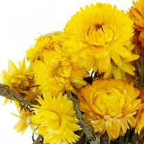 daiktų Šiaudų geltona džiovintų džiovintų gėlių dekoratyvinė kekė 75g