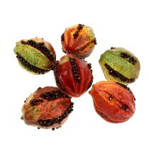 Rudeniniai vaisiai 3,5cm raudoni, rudi 24vnt
