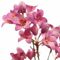 Violetiniai varpeliai Heuchera dekoratyvinė šaka Rožinė 44cm