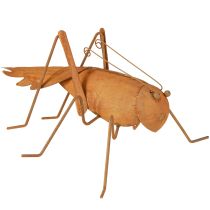 daiktų Žiogų sodo puošmena rūdžių metalinė dekoracija stovint 26cm