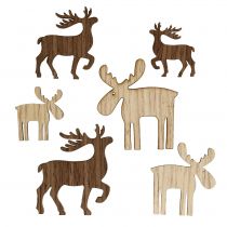 daiktų Maišykite šiaurės elnius rudai barstymui, natūralūs 3cm – 5cm 72 vnt