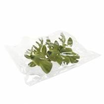 daiktų Dekoratyvinė elnio galva flokuota samanų žalia 10cm x 20cm 3 vnt