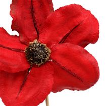 daiktų Medinė gėlė kaip kamštis raudona Ø9cm - 12cm L45cm 15vnt