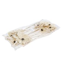 daiktų Medinis žiedas kaip kamštis, balintas Ø9-12cm L45cm 15 vnt.