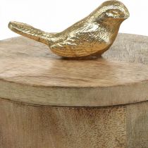 Papuošalų dėžutė su paukščiuku, spyruoklė, deko dėžutė iš mango medienos, tikros medienos natūrali, auksinė H11cm Ø12cm