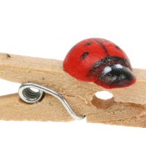 daiktų Dekoratyvinės medinės segtukai ladybugs 2,5cm 180 vnt