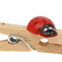 daiktų Dekoratyvinės medinės segtukai ladybug 2,5cm 180p