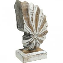 Maritime deco medinis kriauklyčių stovas gamtos, baltas H28cm