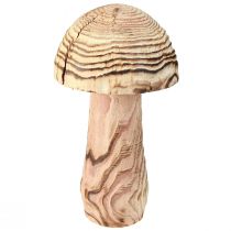 daiktų Medinis grybas stovinčiam dekoratyvinei grybų medienai Paulownia Ø15cm H28cm