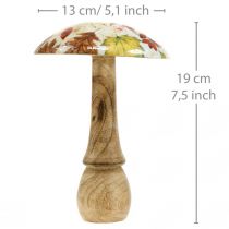 daiktų Mediniai grybų deko rudens lapai balti, spalvinga rudens puošmena Ø13cm H19cm