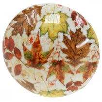daiktų Mediniai grybų deko rudens lapai balti, spalvinga rudens puošmena Ø13cm H19cm