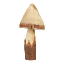 Medinių grybų dekoravimas grybų medžio apdaila natūrali stalo puošmena rudens Ø14cm H36cm