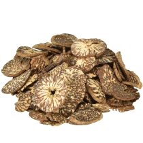 daiktų Mediniai dekoratyviniai betelio riešuto griežinėliai arekai 1-3,5 cm 300 g