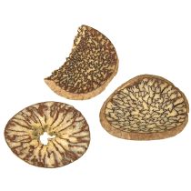 daiktų Medinės griežinėliai, dekoratyviniai medžių vaisiai, natūralūs, „pasidaryk pats“, FSC, 1-3,5 cm, 300 g