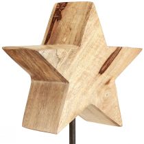 daiktų Medinė žvaigždė natūrali su strypo pagrindo žvaigždės apdaila 20x9,5x50cm