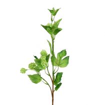 daiktų Apynio šakelė 70cm žalia 2vnt Dirbtinis augalas kaip tikras!