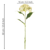 daiktų Dirbtinė hortenzija su ilgu stiebu ir lapais, 60 cm