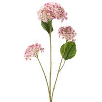 daiktų Stilinga dirbtinė hortenzija – ilgalaikis dėmesio traukimas, 80 cm, 2 vnt.