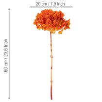 daiktų Hortenzija, konservuota ir dažyta, dideli žiedai su ilgu stiebu, 60 cm