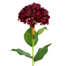 Dirbtinė hortenzija tamsiai raudona 80cm 1vnt