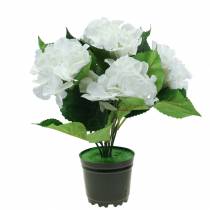 Hortenzija gėlių vazone Dirbtinė Balta 35cm