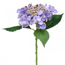 Dekoratyvinė hortenzija, šilkinė gėlė, dirbtinis augalas violetinė L44cm
