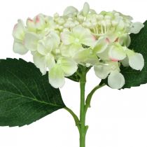 Hortenzija, šilkinė gėlė, dirbtinė gėlė stalo dekoravimui balta, žalia L44cm