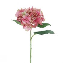 Hortenzija dirbtinė rožinė ir žalia sodo gėlė su pumpurais 52cm