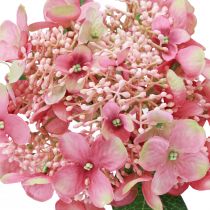 daiktų Hortenzija dirbtinė rožinė ir žalia sodo gėlė su pumpurais 52cm