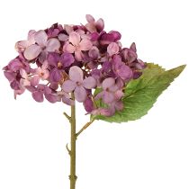 daiktų Dirbtinės hortenzijos, violetinės, dirbtinės gėlės, hortenzijos, 34 cm, 2 vnt.
