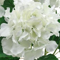 Dekoratyvinė hortenzijų puokštė baltų dirbtinių gėlių 5 gėlės 48cm