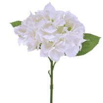 Hortenzijos dirbtinės baltos tikrosios gėlės 33cm