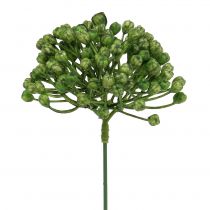 daiktų Hortenzijos pumpurų rinkinys 22cm žalias 12 vnt